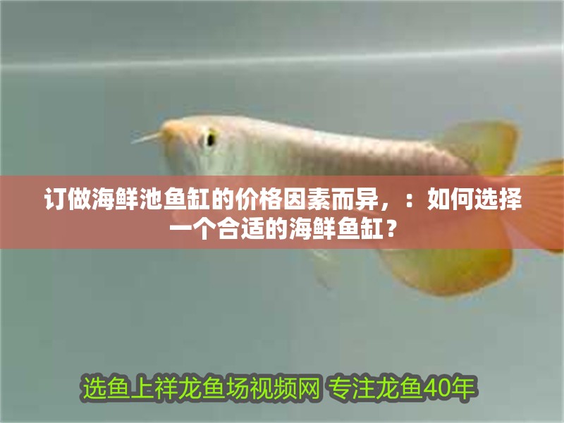 訂做海鮮池魚缸的價格因素而異，：如何選擇一個合適的海鮮魚缸？