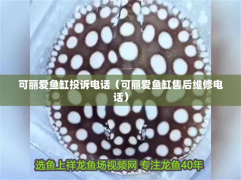 可麗愛魚缸投訴電話（可麗愛魚缸售后維修電話）