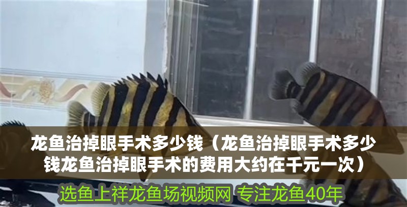 龍魚治掉眼手術多少錢（龍魚治掉眼手術多少錢龍魚治掉眼手術的費用大約在千元一次）