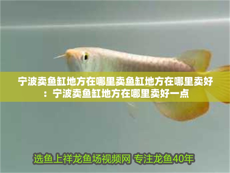 寧波賣魚缸地方在哪里賣魚缸地方在哪里賣好：寧波賣魚缸地方在哪里賣好一點