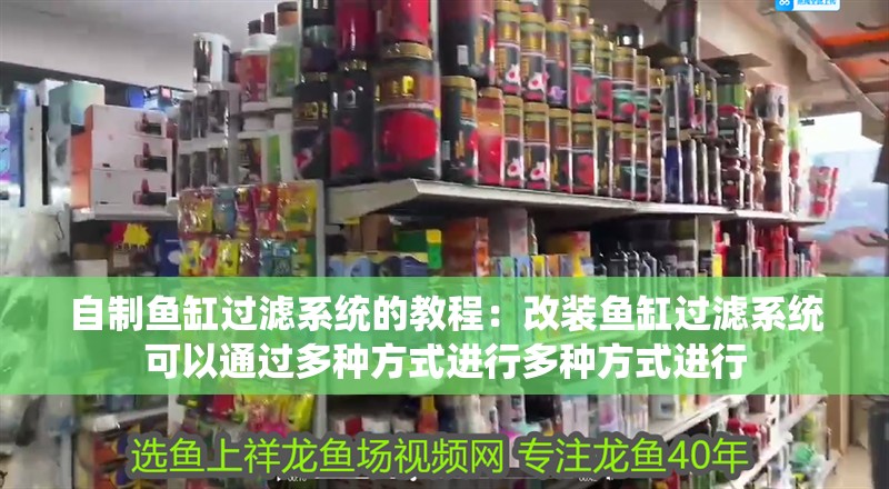 我的虎魚真菌感染了要怎么處理 自制魚缸過濾系統的教程:改裝魚缸過濾系統可以通過多種方式進行多種方式進行 魚缸百科 自制魚缸過濾系統的教程:改裝魚缸過濾系統可以通過多種方式進行多種方式進行 自制魚缸過濾系統的教程:改裝魚缸過濾系統可以通過多種方式進行多種方式進行 魚缸百科