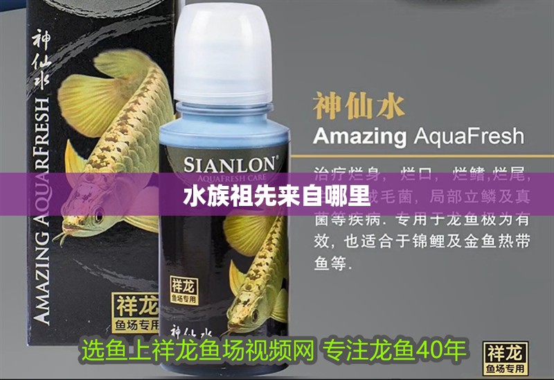 水族祖先來自哪里