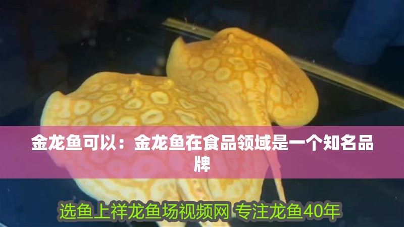 金龍魚可以：金龍魚在食品領(lǐng)域是一個(gè)知名品牌