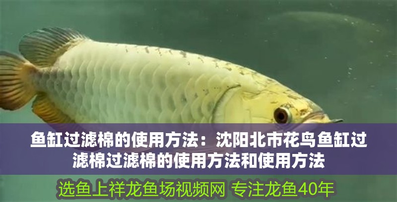 魚缸過濾棉的使用方法：沈陽北市花鳥魚缸過濾棉過濾棉的使用方法和使用方法