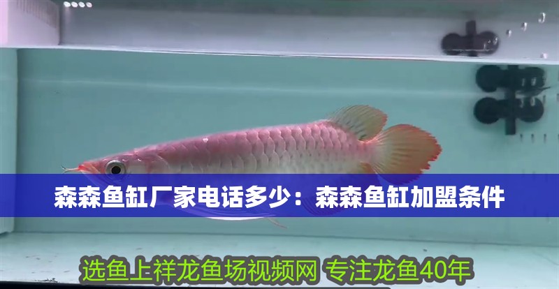 森森魚缸廠家電話多少：森森魚缸加盟條件