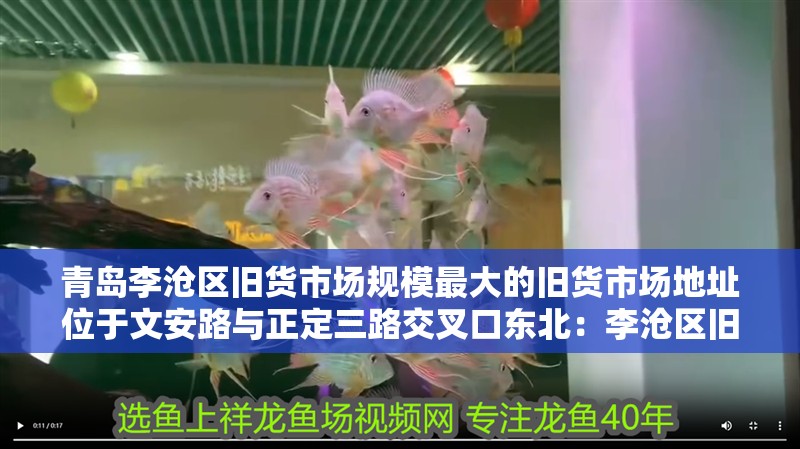 青島李滄區(qū)舊貨市場(chǎng)規(guī)模最大的舊貨市場(chǎng)地址位于文安路與正定三路交叉口東北：李滄區(qū)舊貨市場(chǎng)