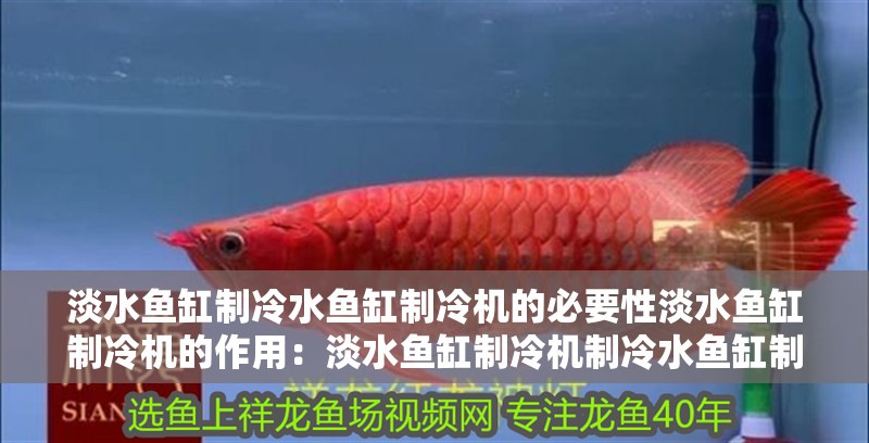 淡水魚缸制冷水魚缸制冷機的必要性淡水魚缸制冷機的作用：淡水魚缸制冷機制冷水魚缸制冷機的作用