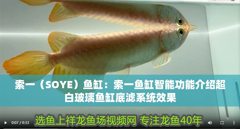 索一（SOYE）魚缸：索一魚缸智能功能介紹超白玻璃魚缸底濾系統效果