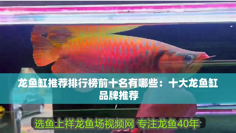 龍魚缸推薦排行榜前十名有哪些：十大龍魚缸品牌推薦