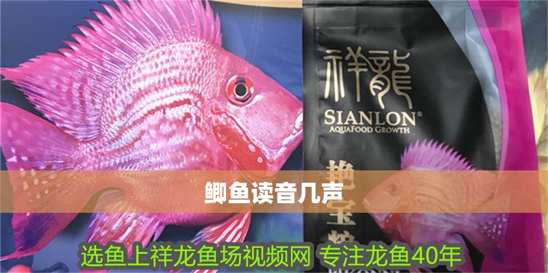 鯽魚讀音幾聲