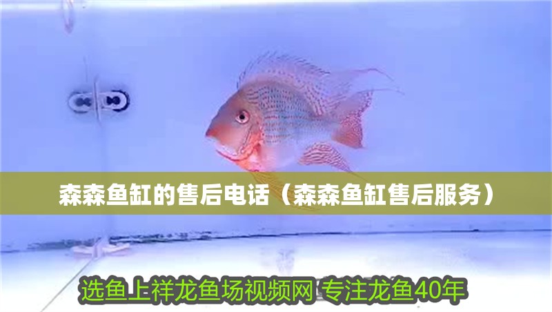 森森魚缸的售后電話（森森魚缸售后服務）