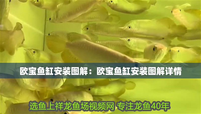 歐寶魚缸安裝圖解：歐寶魚缸安裝圖解詳情