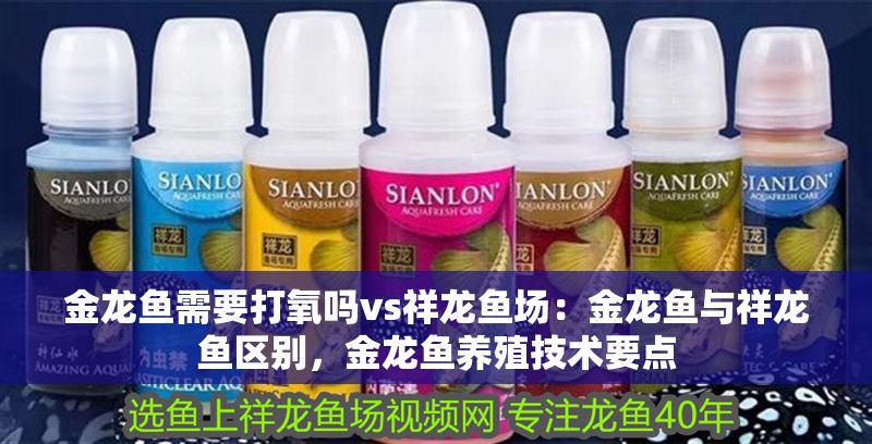 金龍魚(yú)需要打氧嗎vs祥龍魚(yú)場(chǎng)：金龍魚(yú)與祥龍魚(yú)區(qū)別，金龍魚(yú)養(yǎng)殖技術(shù)要點(diǎn)