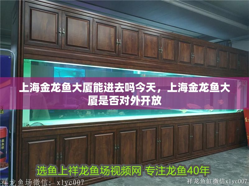 上海金龍魚大廈能進(jìn)去嗎今天，上海金龍魚大廈是否對(duì)外開(kāi)放