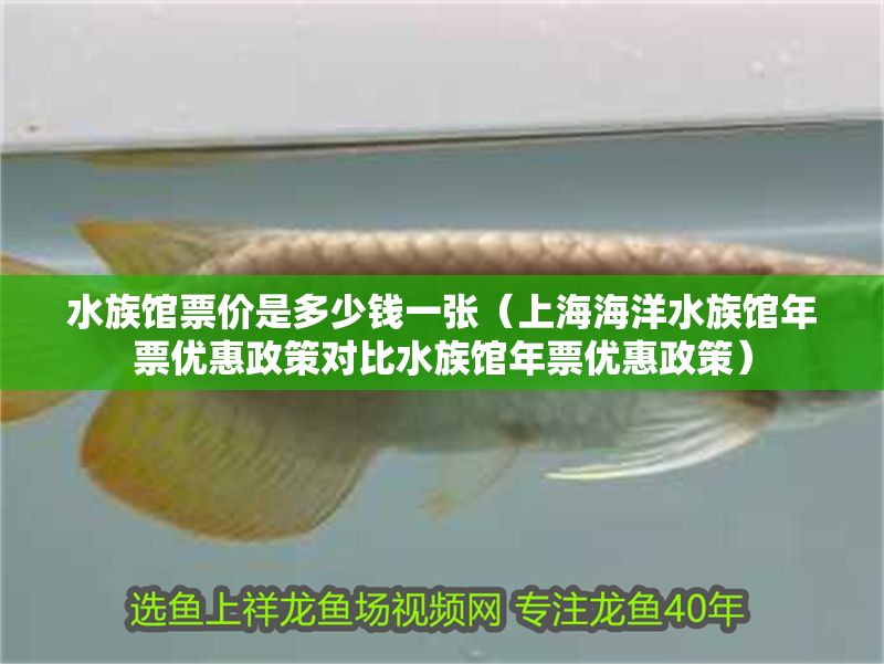 水族館票價是多少錢一張（上海海洋水族館年票優惠政策對比水族館年票優惠政策）