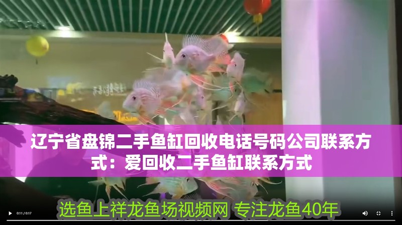 遼寧省盤錦二手魚缸回收電話號碼公司聯系方式：愛回收二手魚缸聯系方式