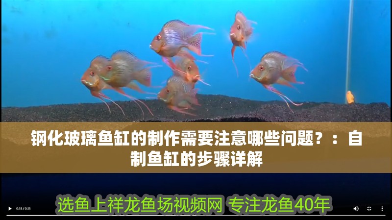 鋼化玻璃魚缸的制作需要注意哪些問題？：自制魚缸的步驟詳解