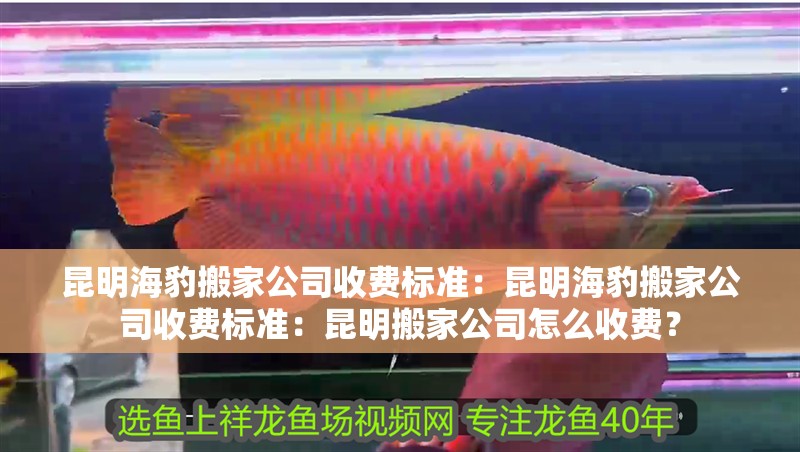 昆明海豹搬家公司收費標準：昆明海豹搬家公司收費標準：昆明搬家公司怎么收費？