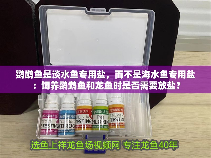 鸚鵡魚是淡水魚專用鹽，而不是海水魚專用鹽：飼養(yǎng)鸚鵡魚和龍魚時是否需要放鹽？