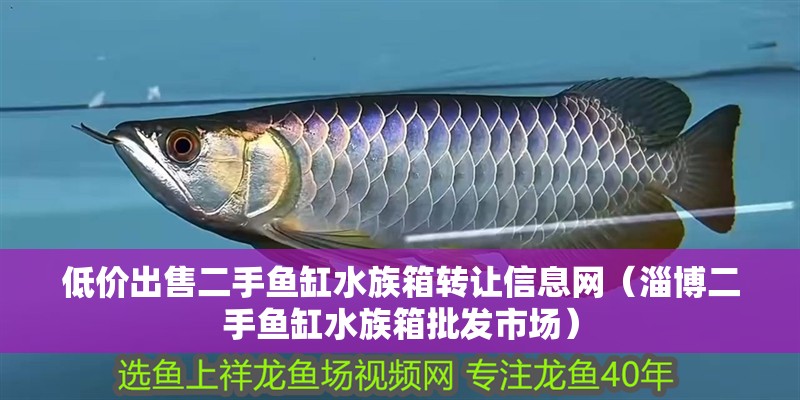低價出售二手魚缸水族箱轉讓信息網（淄博二手魚缸水族箱批發市場）