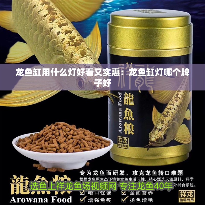 龍魚缸用什么燈好看又實惠：龍魚缸燈哪個牌子好