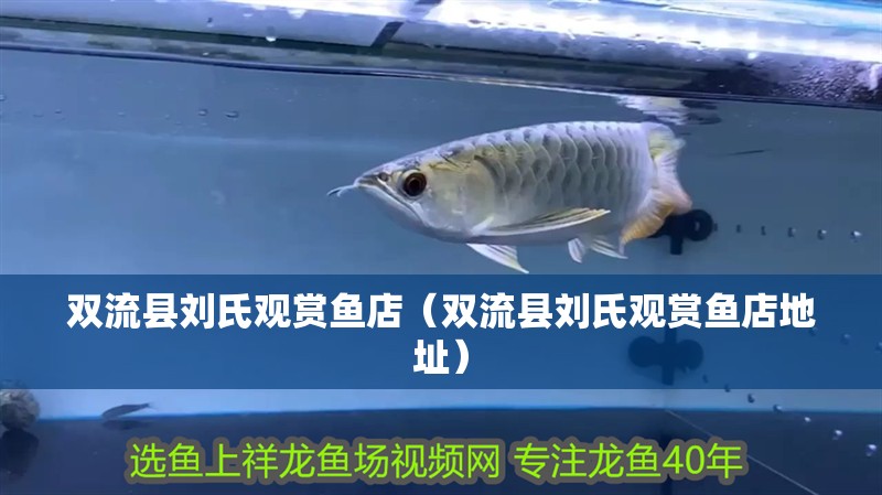 龍魚干蝦有營養嗎 雙流縣劉氏觀賞魚店(雙流縣劉氏觀賞魚店地址) 全國水族館企業名錄 雙流縣劉氏觀賞魚店(雙流縣劉氏觀賞魚店地址) 雙流縣劉氏觀賞魚店(雙流縣劉氏觀賞魚店地址) 全國水族館企業名錄