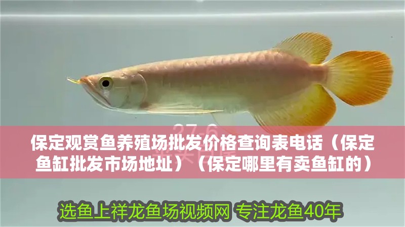 <strong><mark>保定</mark></strong>觀賞魚養殖場批發價格查詢表電話（<strong><mark>保定</mark></strong>魚缸批發市場地址）（<strong><mark>保定</mark></strong>哪里有賣魚缸的）