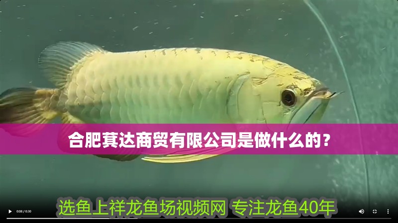 合肥萁達商貿有限公司是做什么的？