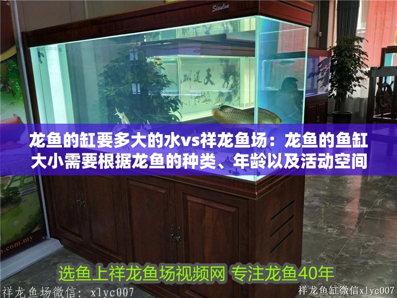 龍魚的缸要多大的水vs祥龍魚場(chǎng)：龍魚的魚缸大小需要根據(jù)龍魚的種類、年齡以及活動(dòng)空間決定