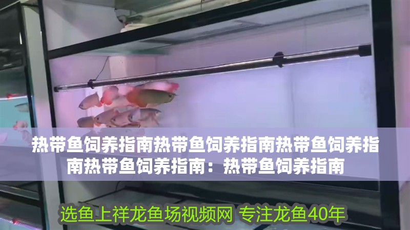 熱帶魚飼養指南熱帶魚飼養指南熱帶魚飼養指南熱帶魚飼養指南：熱帶魚飼養指南