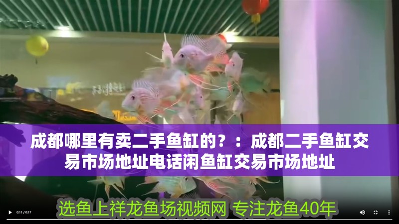 成都哪里有賣二手魚缸的？：成都二手魚缸交易市場地址電話閑魚缸交易市場地址
