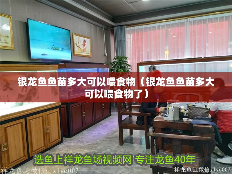 銀龍魚魚苗多大可以喂食物（銀龍魚魚苗多大可以喂食物了）