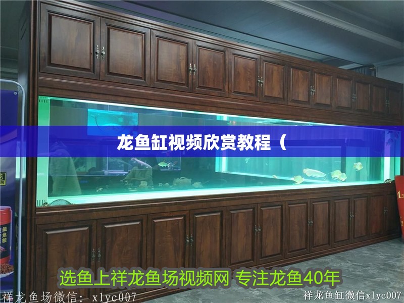 龍魚缸視頻欣賞教程（