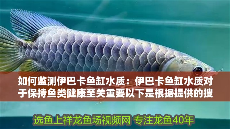 如何監測伊巴卡魚缸水質：伊巴卡魚缸水質對于保持魚類健康至關重要以下是根據提供的搜索結果