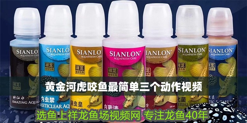 黃金河虎咬魚最簡單三個動作視頻