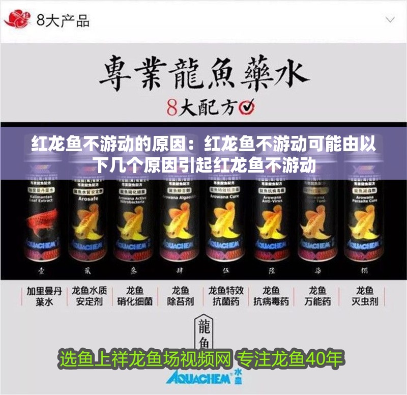 紅龍魚不游動(dòng)的原因：紅龍魚不游動(dòng)可能由以下幾個(gè)原因引起紅龍魚不游動(dòng)