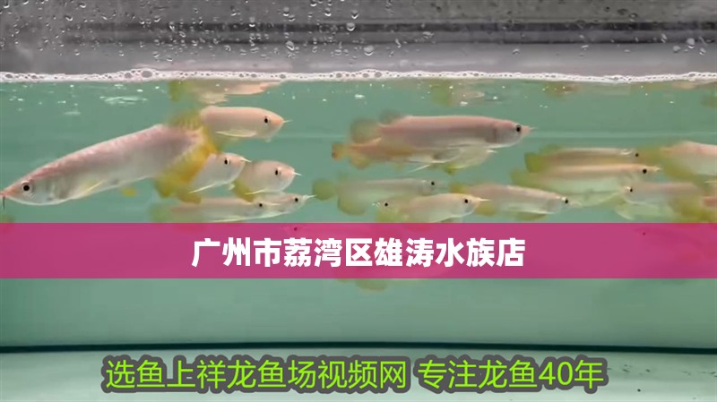 廣州市荔灣區(qū)雄濤水族店