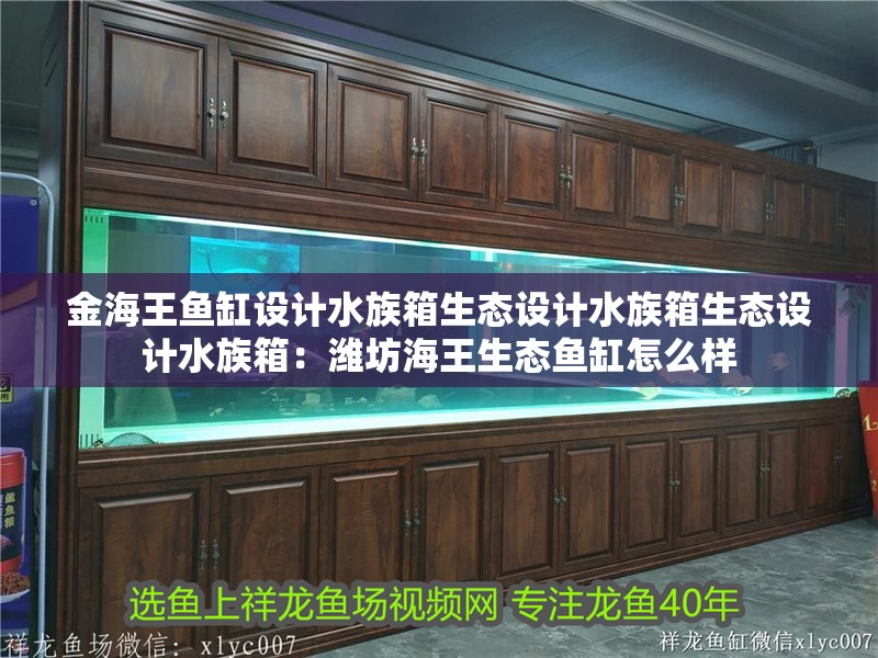 金海王魚缸設計水族箱生態設計水族箱生態設計水族箱：濰坊海王生態魚缸怎么樣