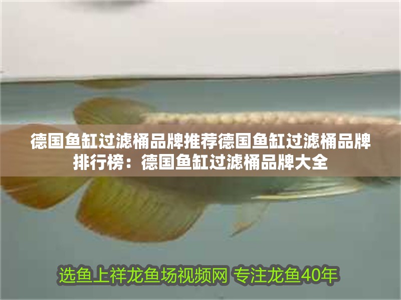 德國(guó)魚缸過(guò)濾桶品牌推薦德國(guó)魚缸過(guò)濾桶品牌排行榜：德國(guó)魚缸過(guò)濾桶品牌大全