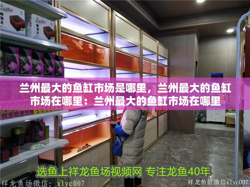 蘭州最大的魚缸市場是哪里，蘭州最大的魚缸市場在哪里：蘭州最大的魚缸市場在哪里