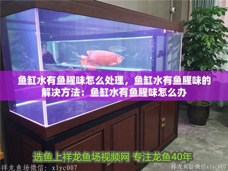 魚缸水有魚腥味怎么處理，魚缸水有魚腥味的解決方法：魚缸水有魚腥味怎么辦