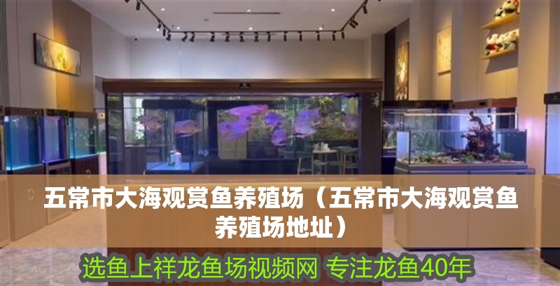 五常市大海觀賞魚養殖場（五常市大海觀賞魚養殖場地址）