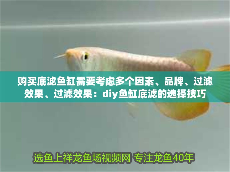 購買底濾魚缸需要考慮多個因素、品牌、過濾效果、過濾效果：diy魚缸底濾的選擇技巧