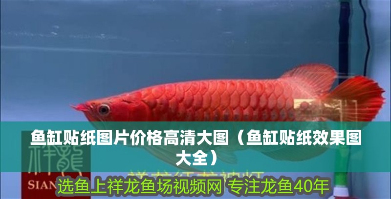 魚缸貼紙圖片價(jià)格高清大圖（魚缸貼紙效果圖大全）