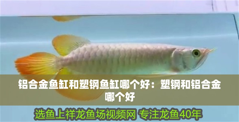 鋁合金魚缸和塑鋼魚缸哪個好：塑鋼和鋁合金哪個好