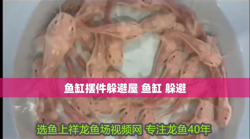 魚缸擺件躲避屋 魚缸 躲避