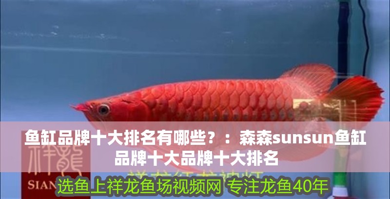魚缸品牌十大排名有哪些？：森森sunsun魚缸品牌十大品牌十大排名