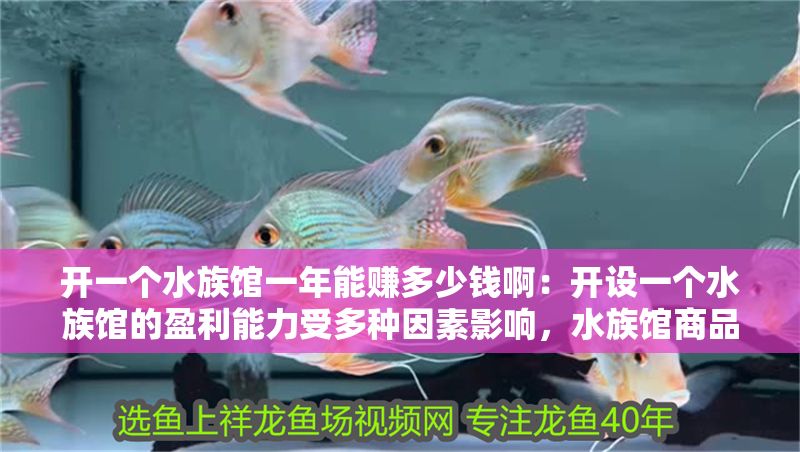 開一個水族館一年能賺多少錢啊：開設一個水族館的盈利能力受多種因素影響，水族館商品銷售策略