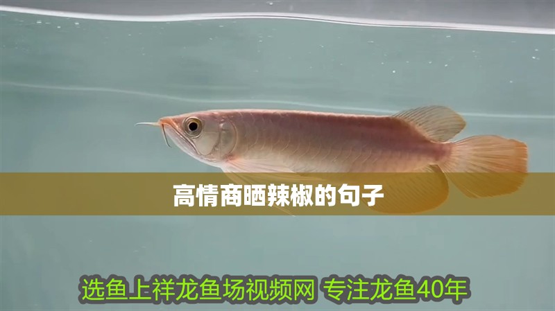 高情商曬辣椒的句子