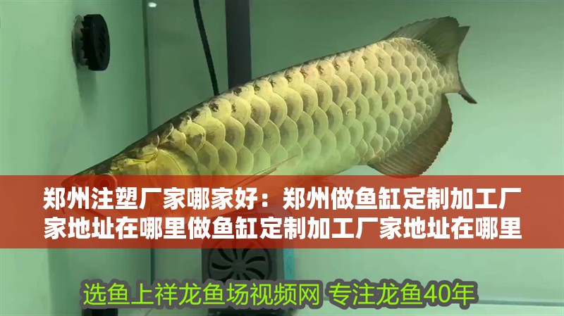 鄭州注塑廠家哪家好：鄭州做魚缸定制加工廠家地址在哪里做魚缸定制加工廠家地址在哪里